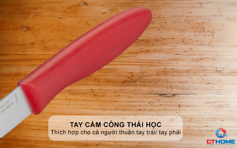 Tay cầm công thái học