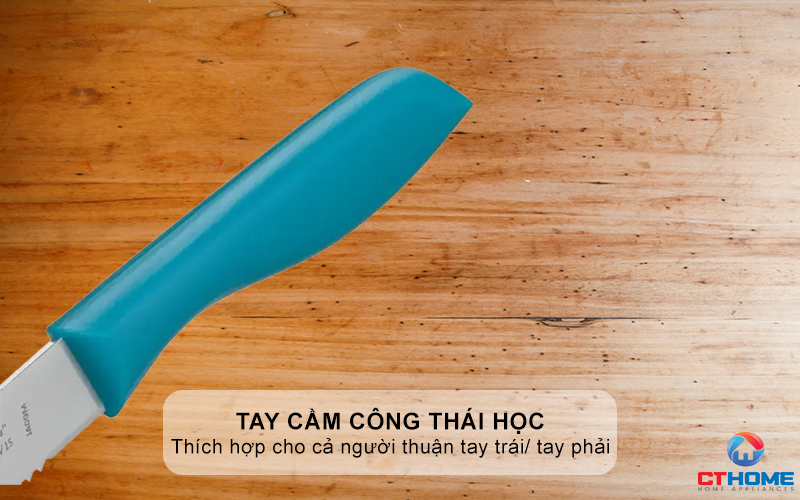 Tay cầm công thái học