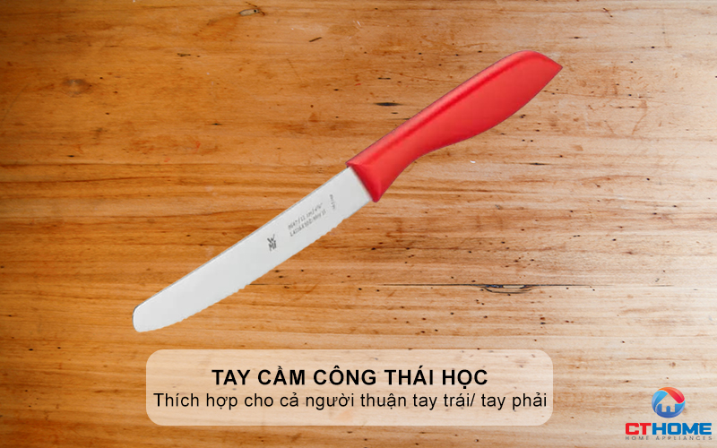 Tay cầm công thái học